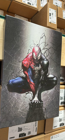 Spider man canvas wall art