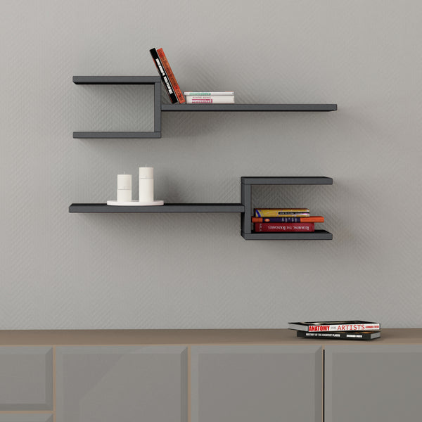 Wall Mounted Shelf Set of 2- Floating Shelf, Decorative Bookshelf for Wall Decor